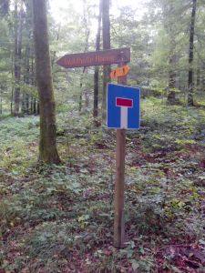 Wegweiser zu der Waldhütte Homrig