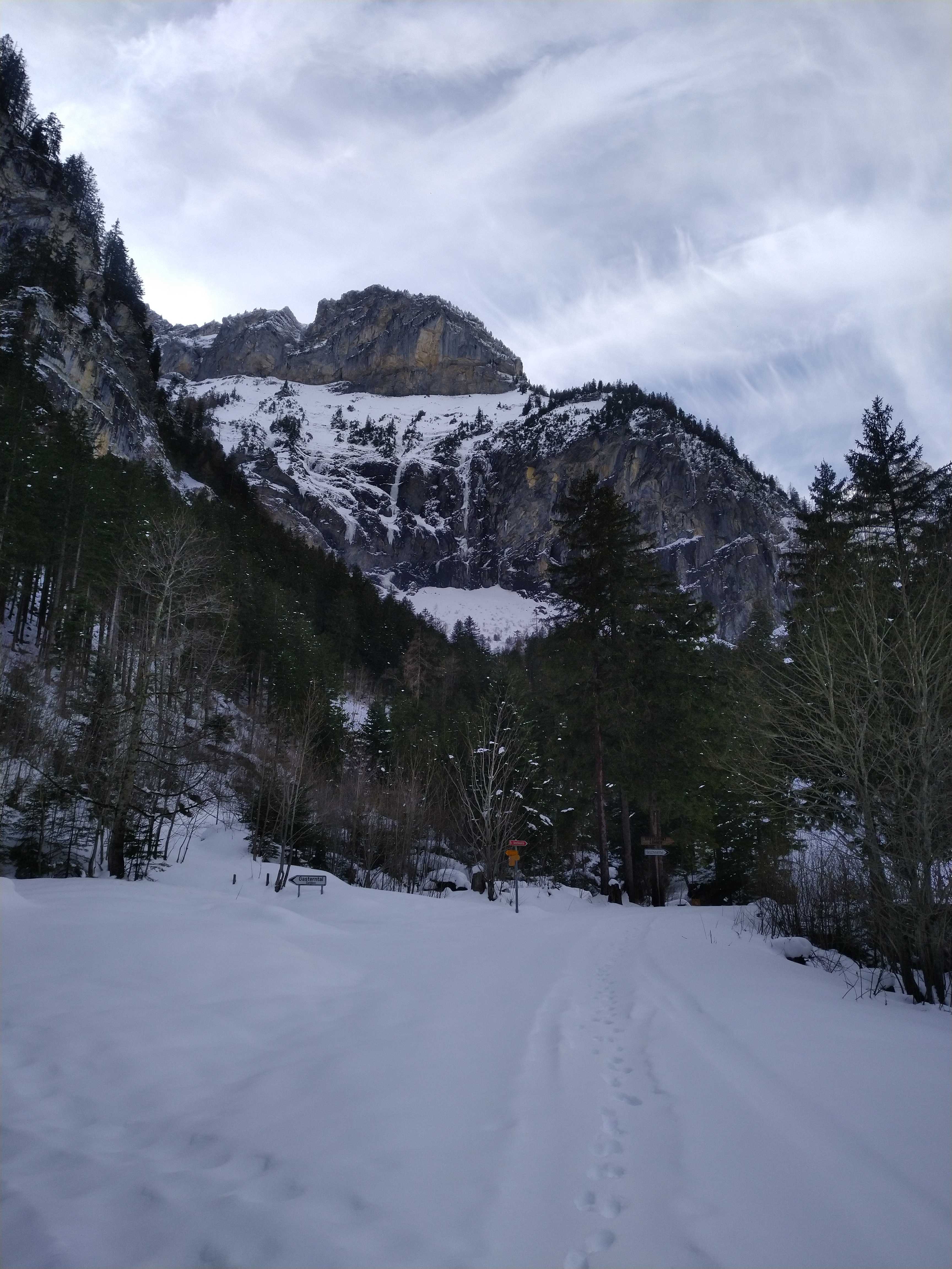 Nach diesem Foto ging es wieder zurück