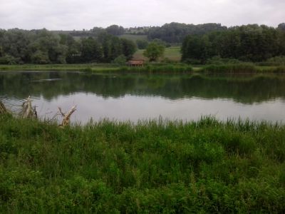 Vogelbeobachtungsstation am Flachsee